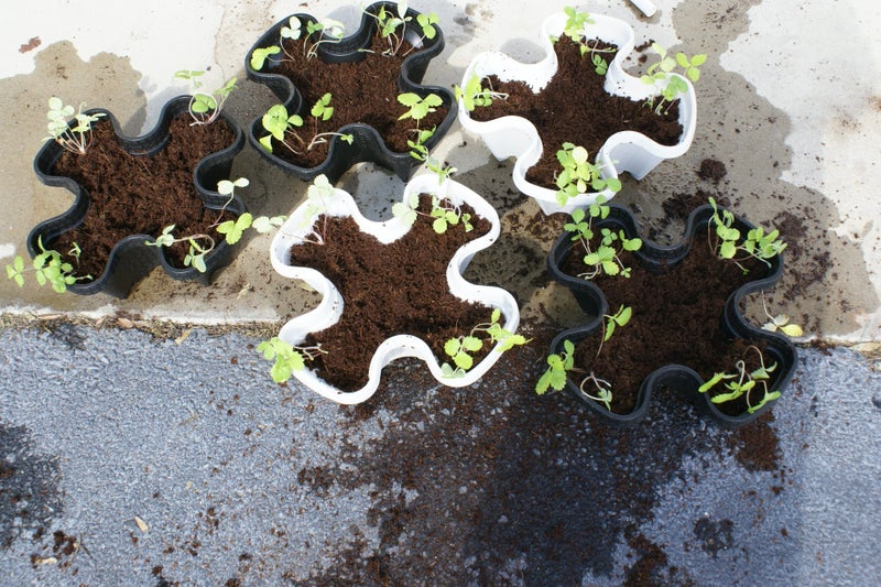 Mr. Stacky 5 Tier Black & Grey Stackable Strawberry Garden - Vertical Gardening Planter Set - Image 2